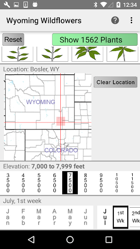 Wyoming Wildflowers Screen 2