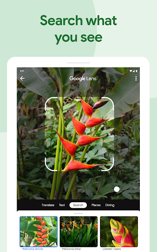 Logo https://play-lh.googleusercontent.com/zkFn3KH1DGnowy5WjOfv6gYib4lg0rKeGQIvTCZyXWHzLpm6VAO2qFYthM39lAzxSw