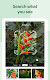 screenshot of Google Photos