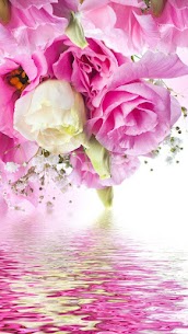 Pink Roses Live Wallpaper For PC installation