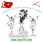 Cover Image of Download Radyo Karadeniz FM  APK