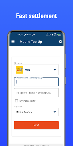 BluPay Screen 3