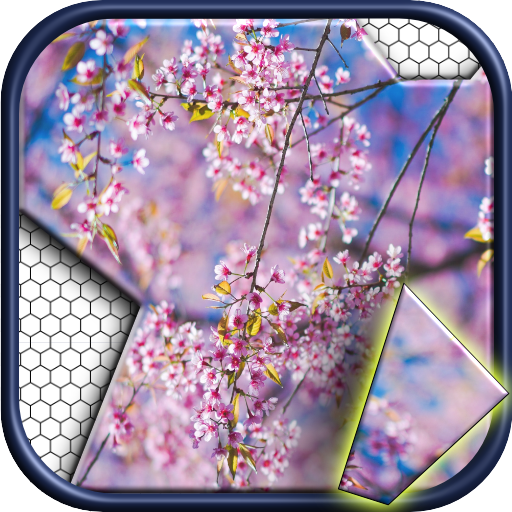 Jigsawnoi: puzzles redefined logo