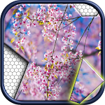 Cover Image of Download Jigsawnoi: Jigsaw puzzles rede  APK