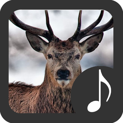 Deer Sounds 3.3.3 Icon