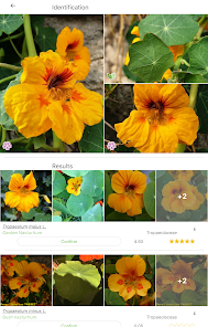 PlantNet Plant Identification  screenshots 8
