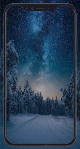 Winter Night Wallpaper