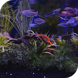 Aquarium Live Wallpaper icon