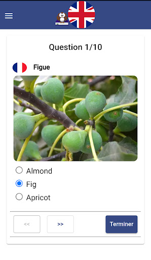 Lexicen ou le lexique anglais Screen 2