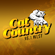 Cat Country 95.1 (WLST) Download on Windows