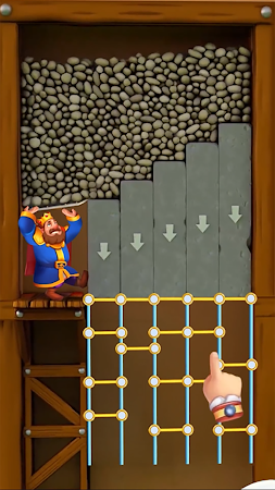 Game screenshot Royal Pin: King Adventure apk download