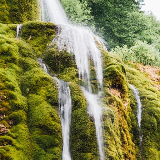 Waterfall Wallpapers logo