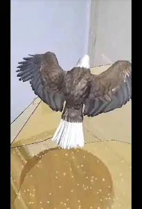 Chk Eagle AR