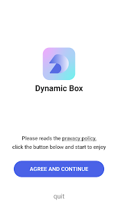Dynamic Box—dynamic island