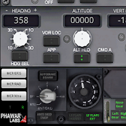 PWB737 MCP EFIS RADIO FSX P3D MS FS2020