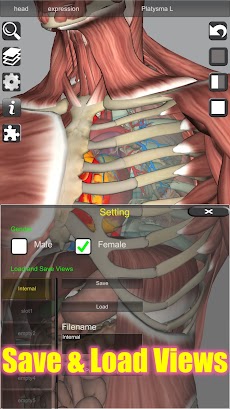 3D Bones and Organs (Anatomy)のおすすめ画像4