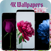 Flower Wallpapers - Latest 4k