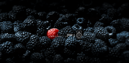 Raspberry Pi French Android App