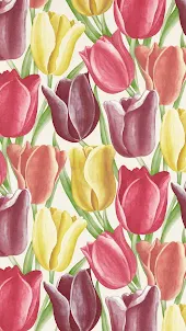 Fonds d'écran tulipe