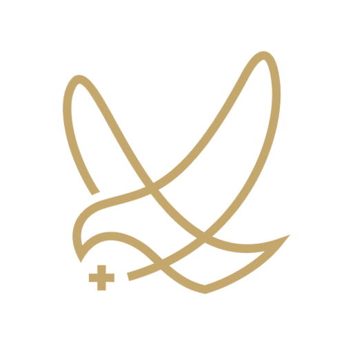 Stat Nurse logo