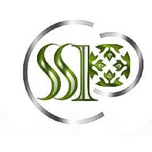 Salem Silver Palace logo