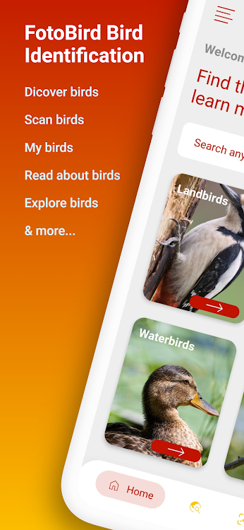 FotoBird Bird Identification - 0.1.0.4. - (Android)