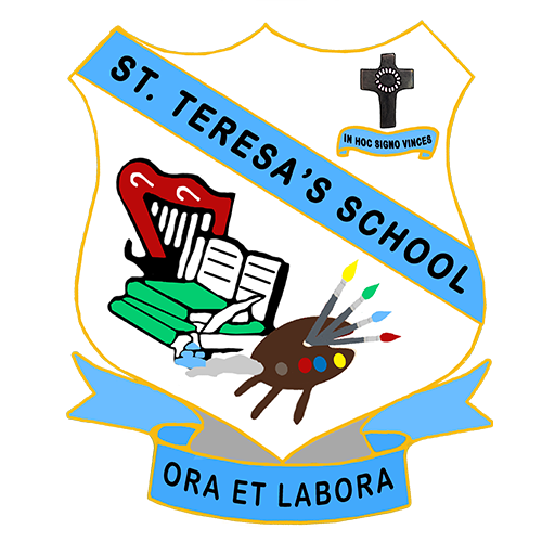 St. Teresa's Secondary School  Icon