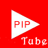 PipTube2.0