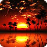 Cover Image of Download Sunset Wallpapers  APK