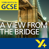 A View from the Bridge GCSE icon