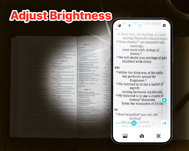 Magnifier App - Maglight Plus