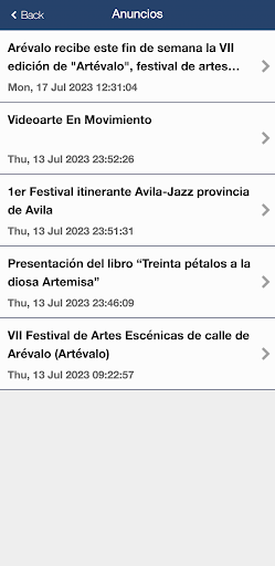 Ayuntamiento de Arévalo Screen 3