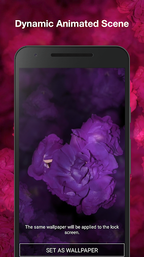 Rose Live Wallpaper Screen 2