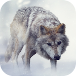 Cover Image of डाउनलोड भेड़िया लगता है  APK