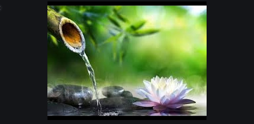 Nature sounds. Water sounds