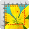 Photo editor icon