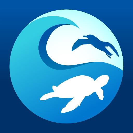 Clean Swell 2.0.1 Icon