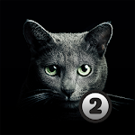 Cover Image of Download Find a cat 2  APK