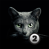 Find a cat 2. Free! icon