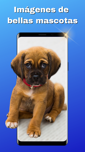 Fondos de Pantalla Bonitos