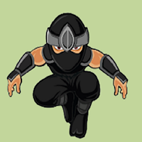 Super ninja