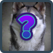 Top 44 Trivia Apps Like Guess The Dog Breed FREE - Best Alternatives