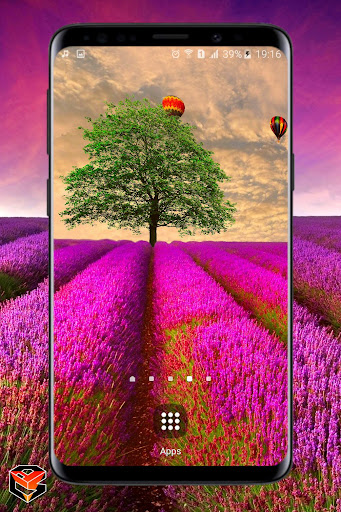 Lavander Field Live Wallpaper Screen 2