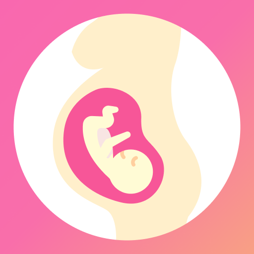 Pregnancy App - Baby tracker