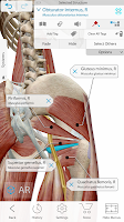 Human Anatomy Atlas 2021 (Full Paid) MOD APK v2021.2.27 preview