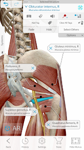Human Anatomy Atlas 2021 MOD APK + OBB v2021.2.27 Download 2