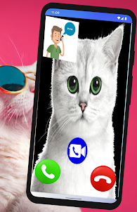 Cat Fake Video call & Chat