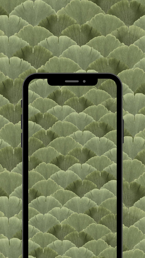 Matcha Sage Green Wallpaper