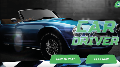 Car Racing Rally Game