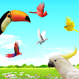 Sky Birds Live Wallpaper Free icon